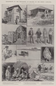 Experiments in the Prevention of Malaria in the Roman Campaign
